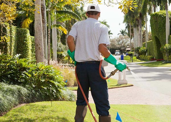 About Rusk TX Pest Control